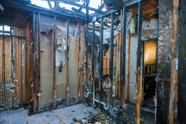 Professional Fire Damage Removal technician working in Ham Lake, MN